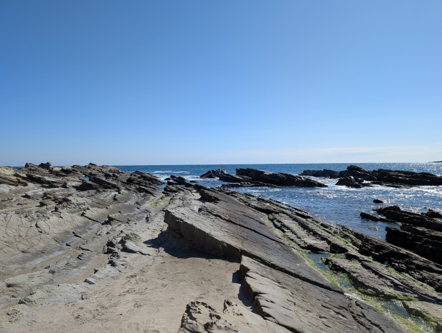 海浜